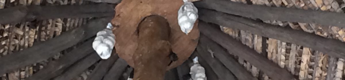 Coming of Age Through the Freedom of Travel