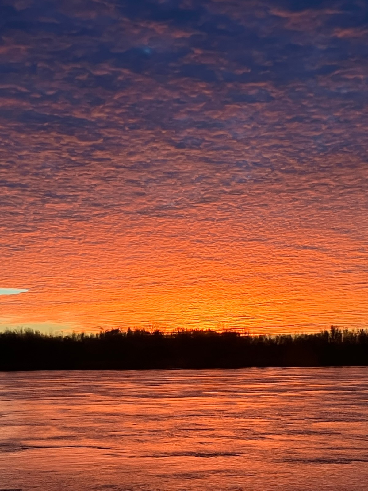 Reflections on Five Years of Change and&nbsp;Growth